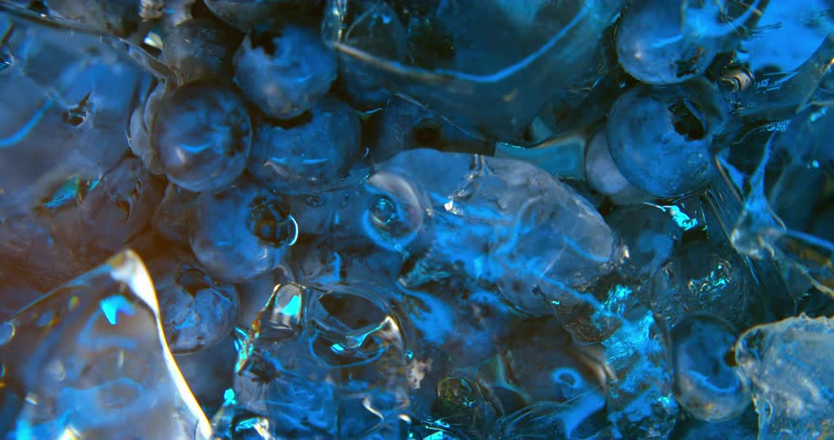 Close up of blueberries and ice cubes