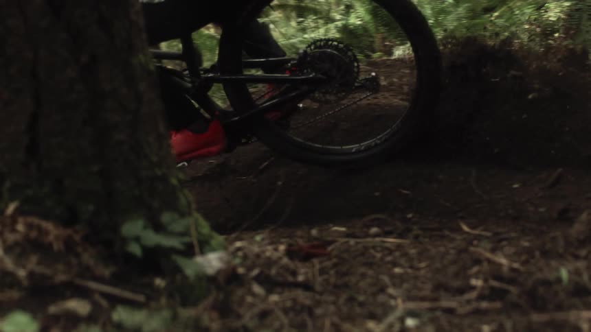 A person mountain bikes down a hill in a forest