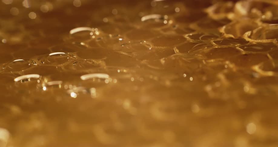 Amber honey in comb reflects the light
