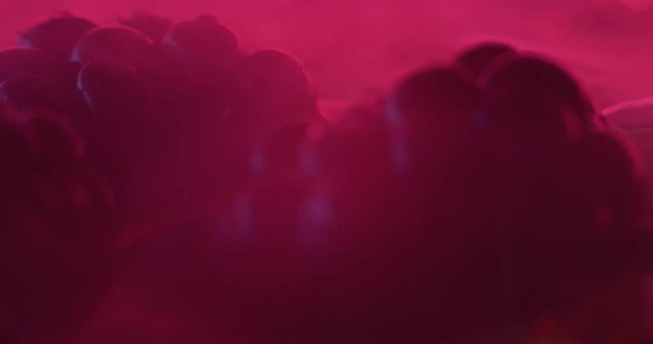 Smoke rises around blackberries floating in water