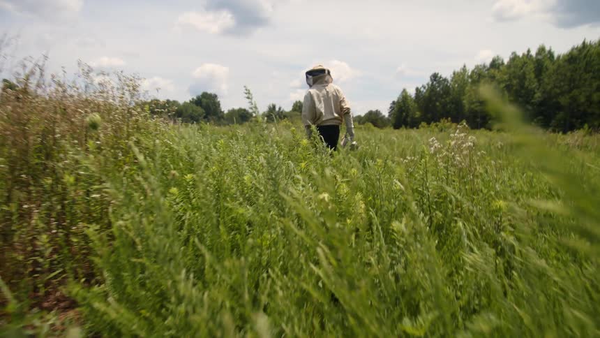 A person walks through a field as they spray a substance