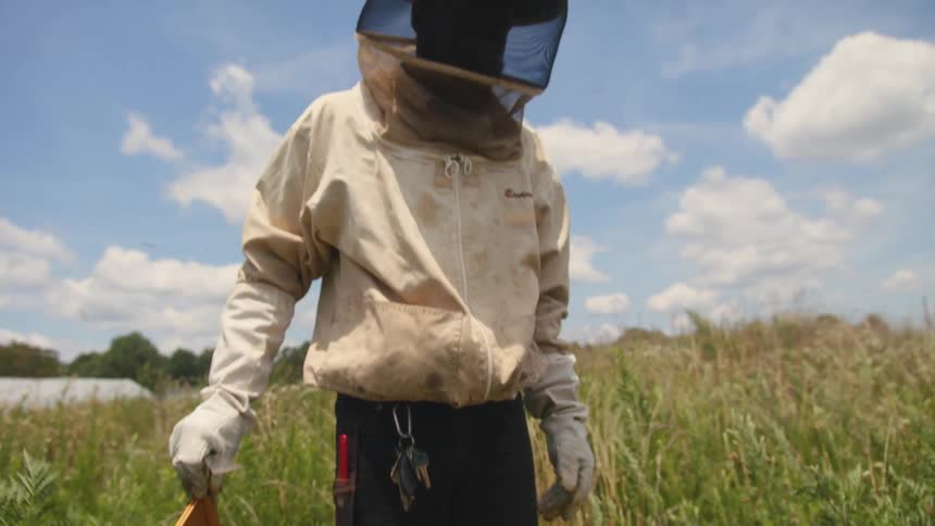 A beekeeper stands near an open hive with bees flying around