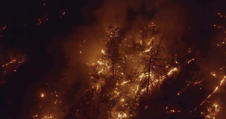 Fire and flames of a burning forest fire glow at night as smoke rises