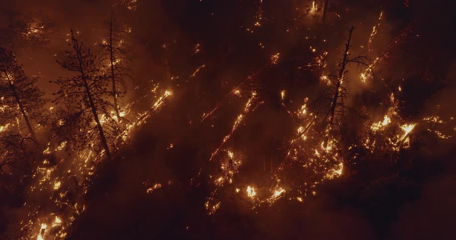 Fire and flames glow in the darkness as smoke rises from a burning forest fire