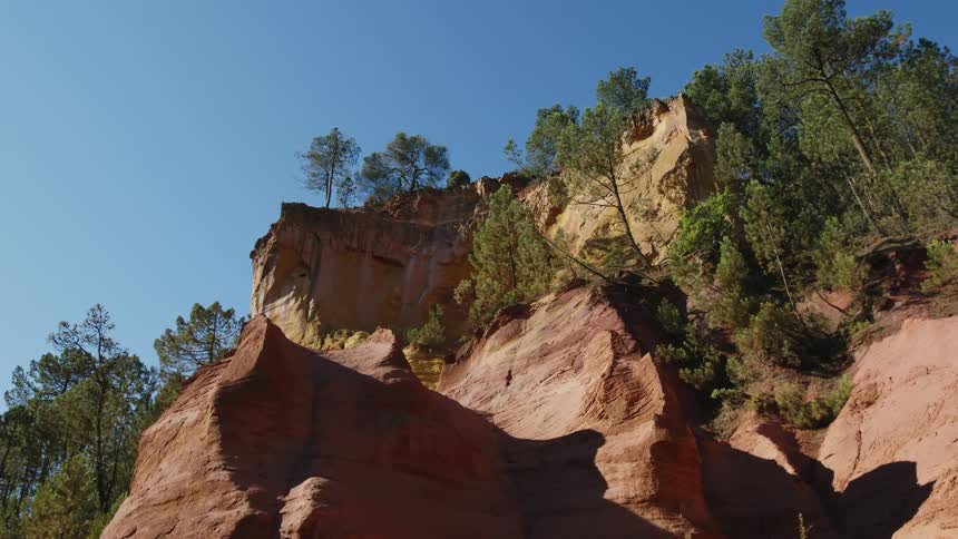 Trees growing on a rocky cliffside in nature
