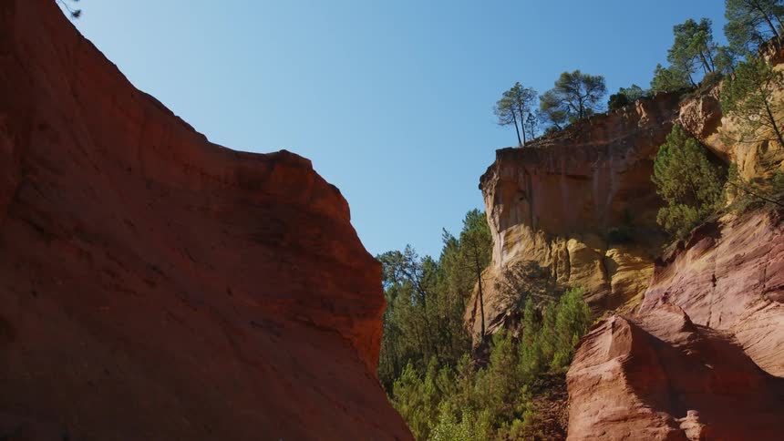 Trees growing on a rocky canyon in nature