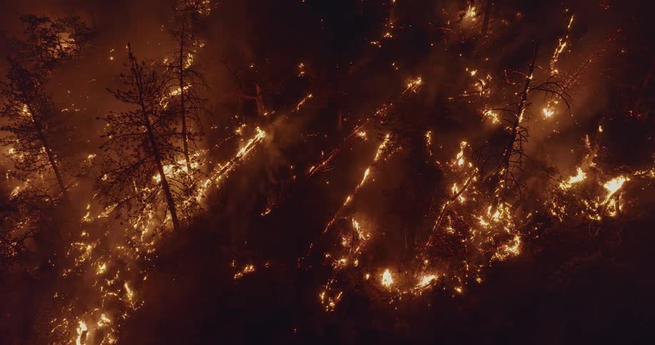 Fire and flames of a burning forest fire glow at night as smoke rises