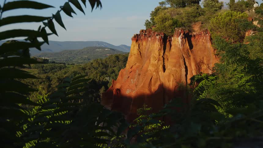 Tropical plants surround a tall cliff