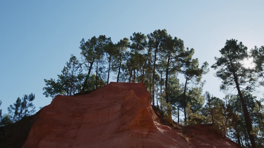 Sunlight filters through the branches of trees growing at the edge of a cliff under a blue sky