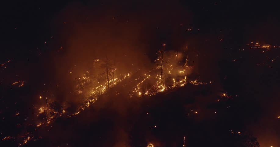 Flames and smoke on a tree covered slope at night