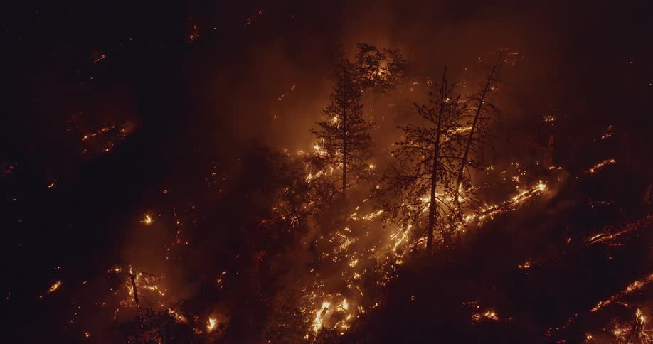 Fire and flames of a burning forest fire glow in the darkness as smoke rises in the night sky