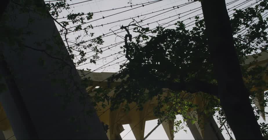 The sun shining through beams of a bridge with wires and lights above the trees