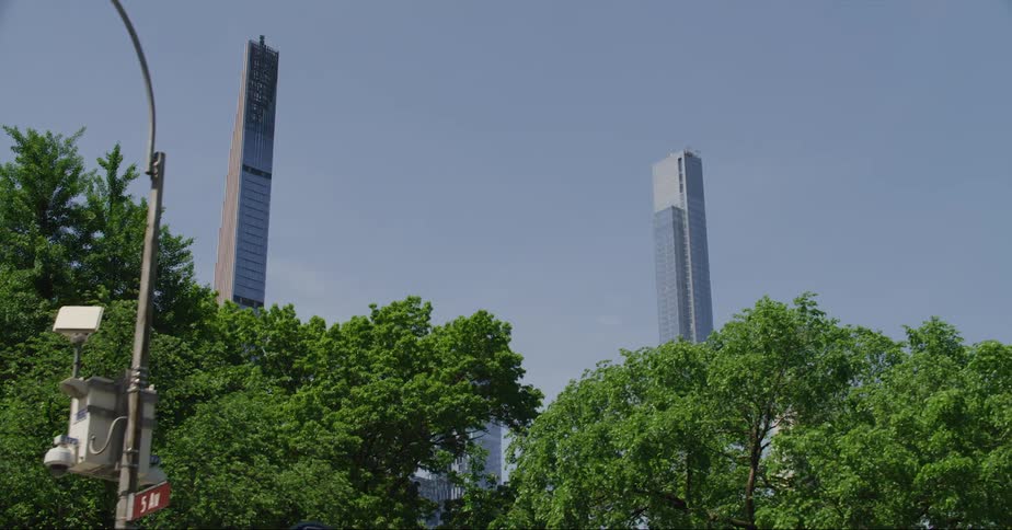 Trees are in front of the tall buildings