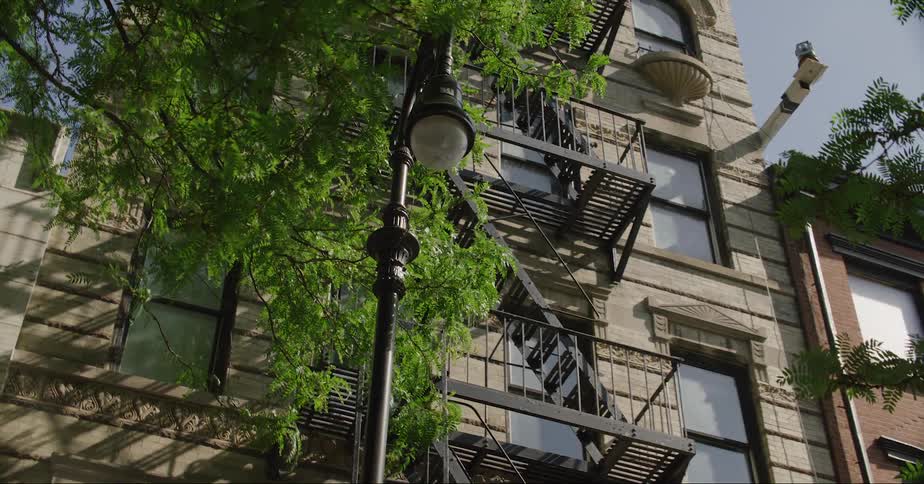 A city apartment building with a fire escape on the front and tree branches blowing in the breeze