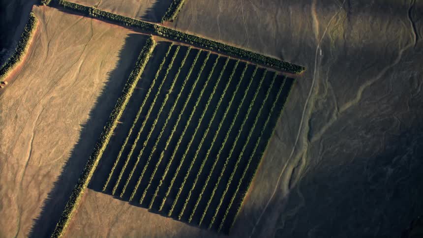 Rows of crops in a barren landscape