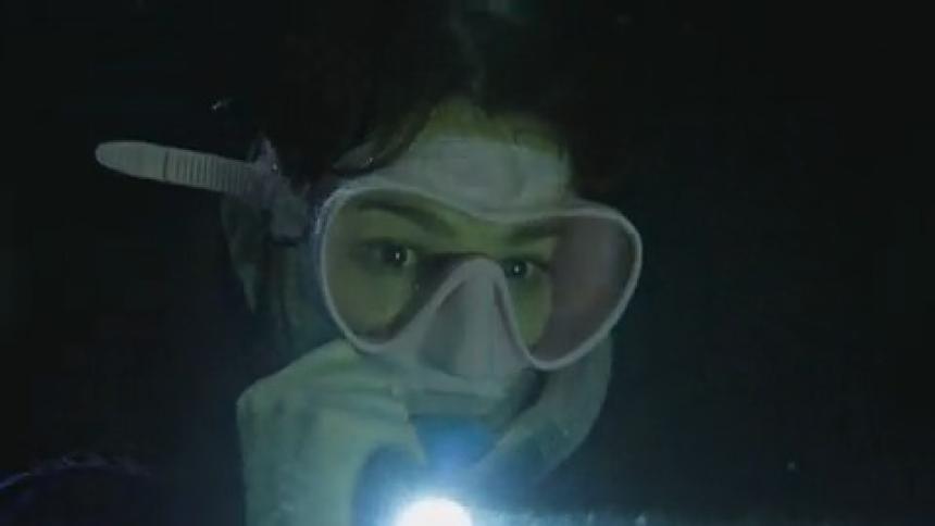Woman wearing wetsuit pink mask and snorkel look for thing using flashlight underwater