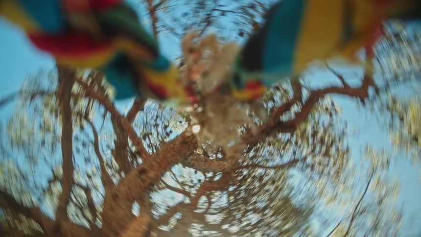 A swing is spinning near some trees