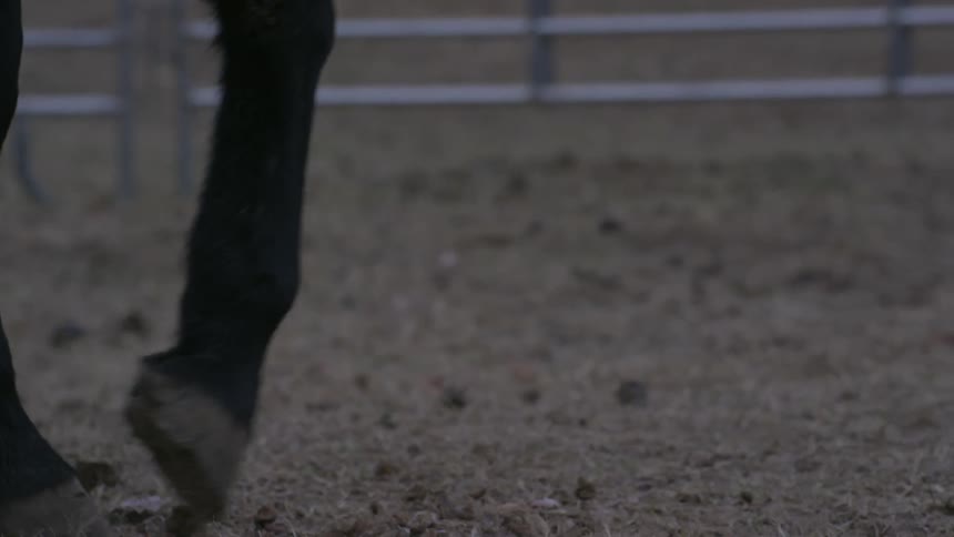 Horse hooves stomping around in dirt