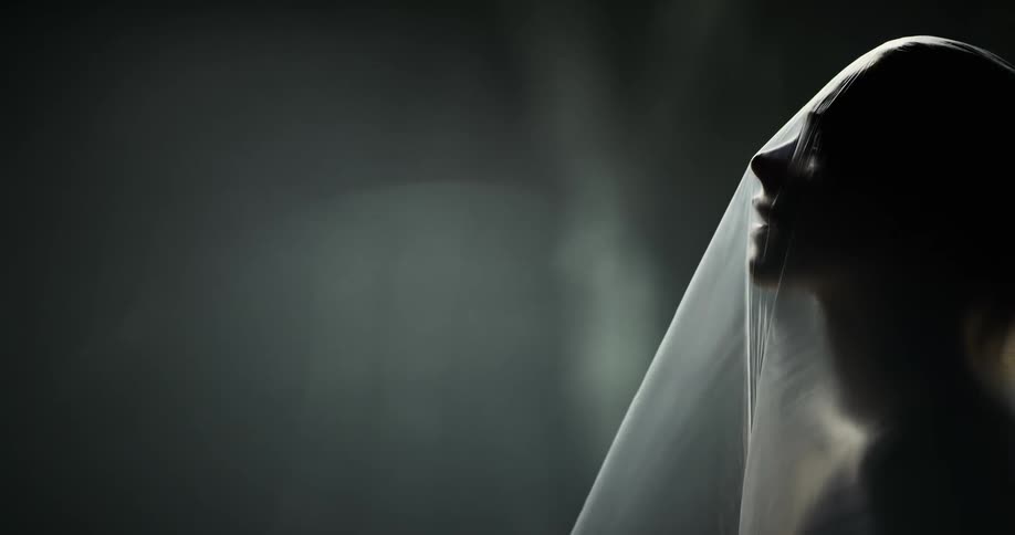 A side portrait of a woman in a veil