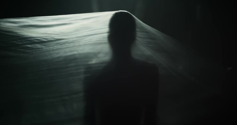 A person sits with their back to the camera with a large clear plastic sheet over them and all you can see is their shadow