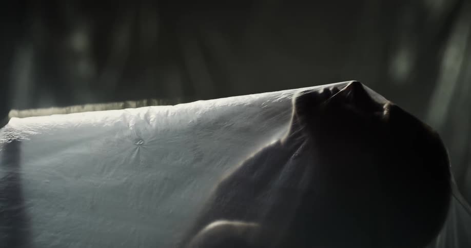 A nude woman is standing with a sheer veil over her body and she uses her hand to move it away from her face and looks upward and then turns around