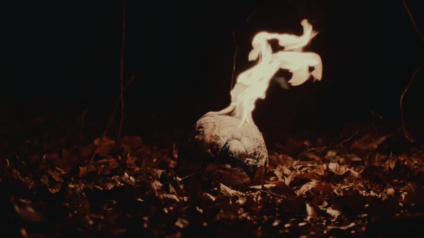 Close up of a ball on fire surrounded by flames on the ground surrounded by dry leaves