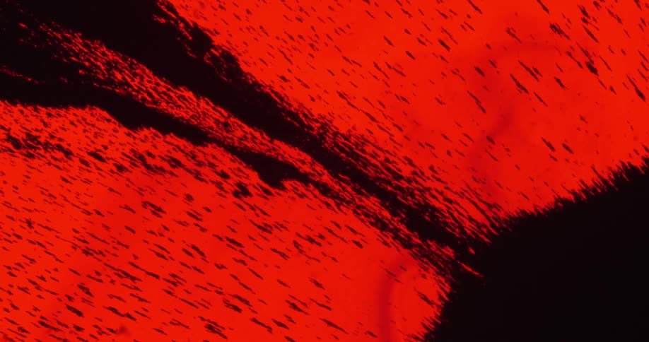 The black moves around in the red