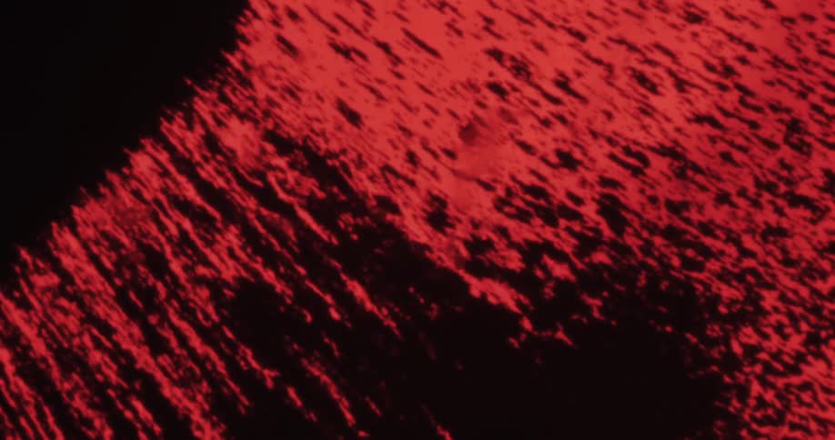 Abstract footage of red and black paint mixing together