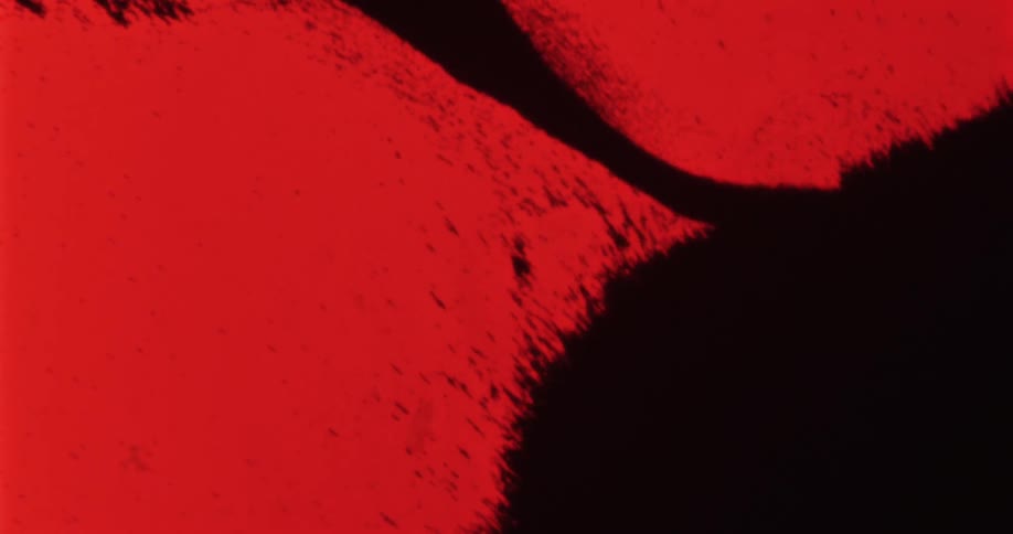 Abstract footage of red and black paint mixing together