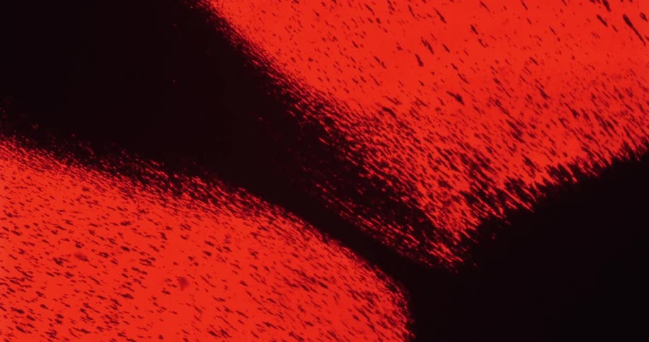 Streams and blobs of black particles moving from one side to the other against a red background