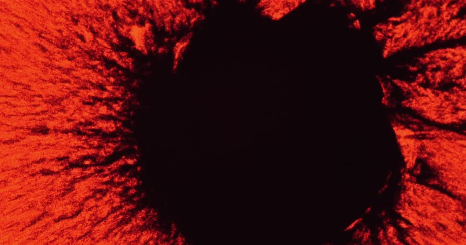 Black hole is bordered by textured orange terrain