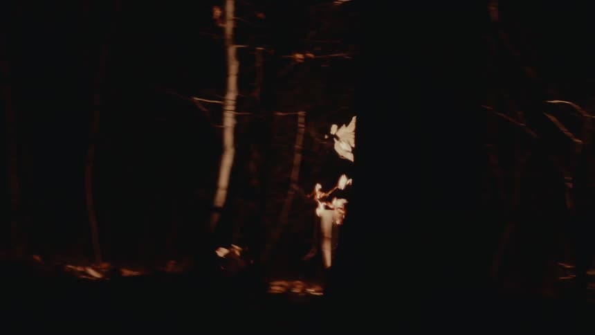 Person with burning clothes runs through fall leaves on floor of woods at night