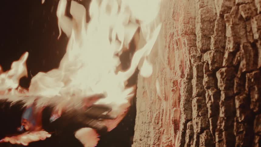 A man touches a tree with his burning arm