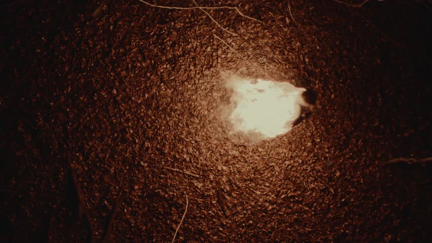 A person is on fire as they run through fallen leaves in a forest leaving a trail of flames behind them in the darkness
