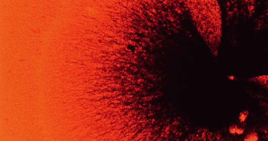 Black hole is created by orange grainy sides