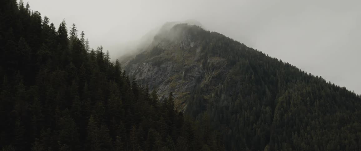 Low clouds covering the peaks of a mountain covered in pine tree forests