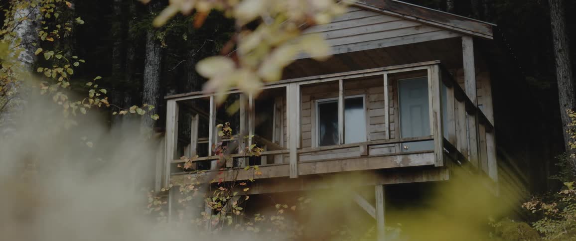 A wood sided house with a porch in the trees