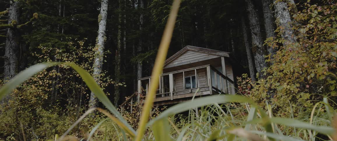 Small elevated wooden cabin nested on the trees in the forest at daytime