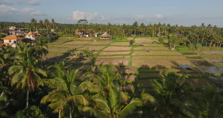 An aerial view of huts in a field in a primitive location
