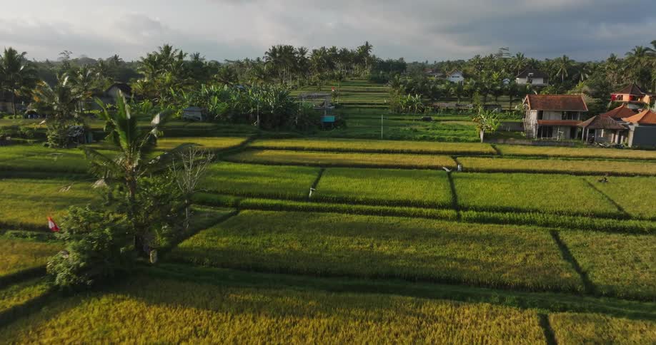 Homes in a rural village sit on well defined plots of land