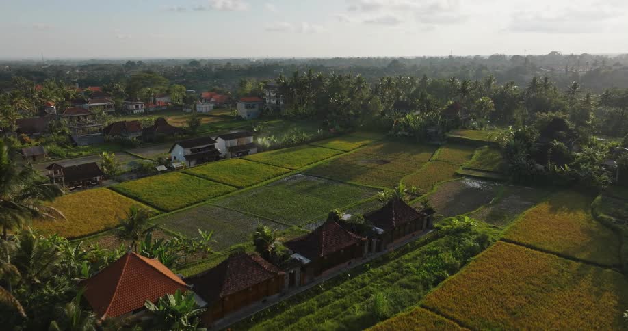 Crop fields and rice paddies in a rural village during the day