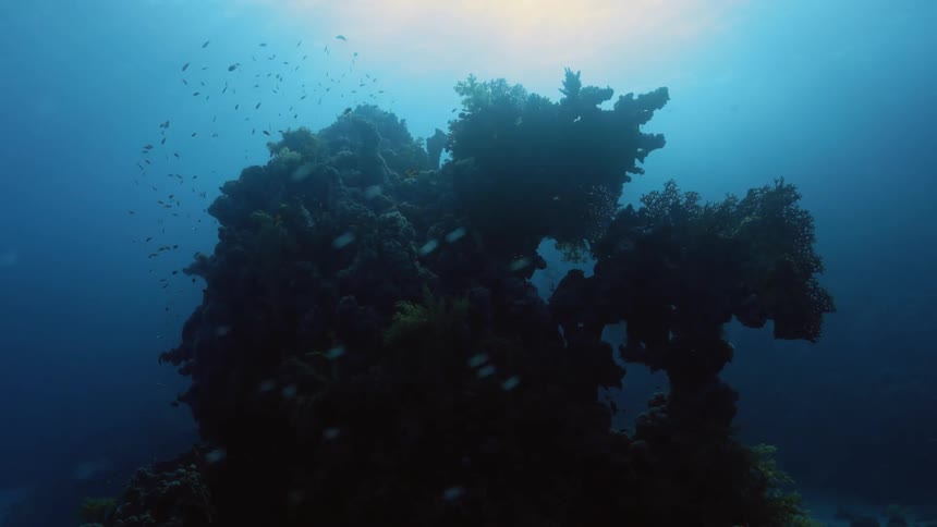 Sunlight shines from the ocean surface onto a coral reef on the sea floor