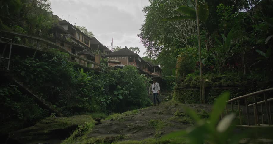 A person walking outdoors in a garden