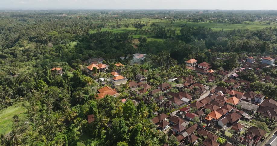 A village is in the middle of the forest