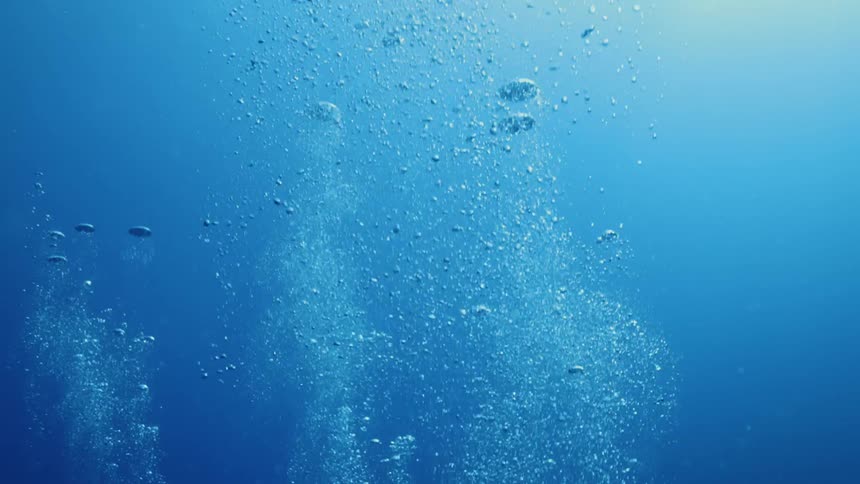 A cloud of bubbles rises towards the surface of a body of water during the day