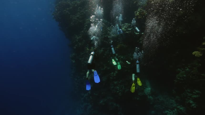 Three scuba divers are by the coral reef