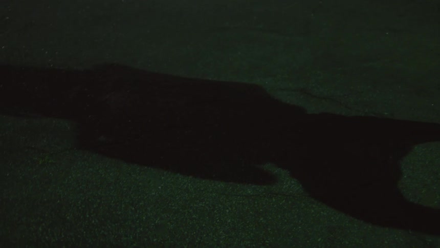 Foots and shadow on the ground of a woman shadowboxing on a street at night