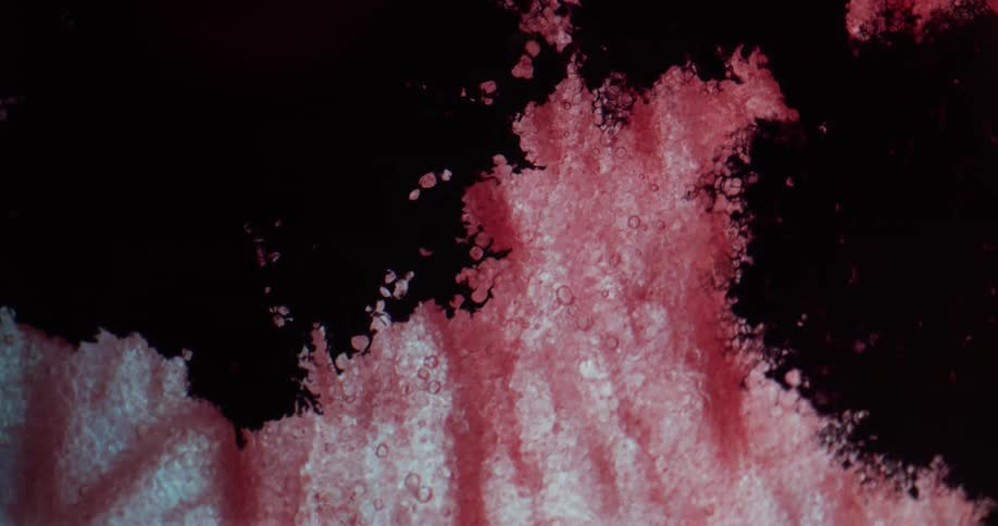 Blobs of black spreading and branching out covering red and white
