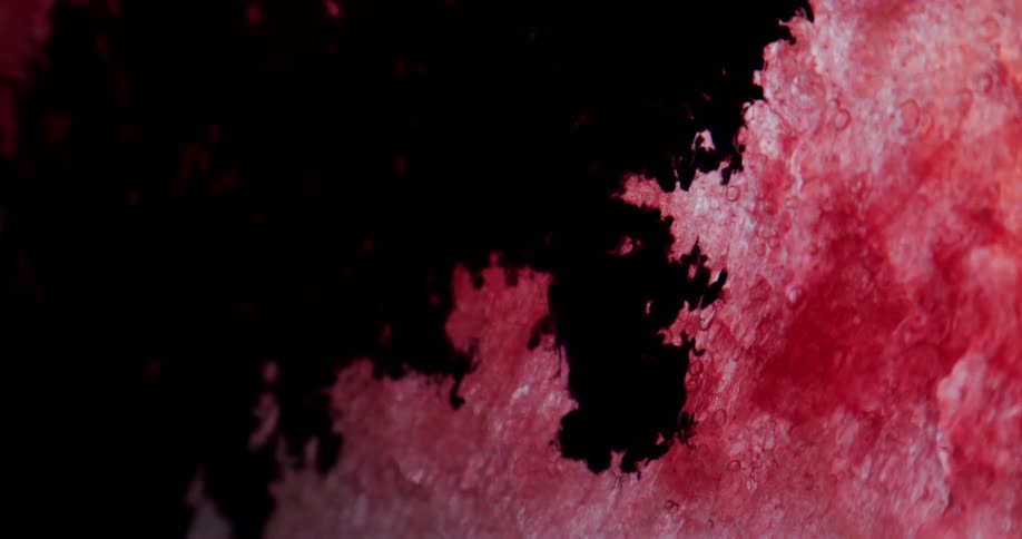 Black paint spreads into a red canvas