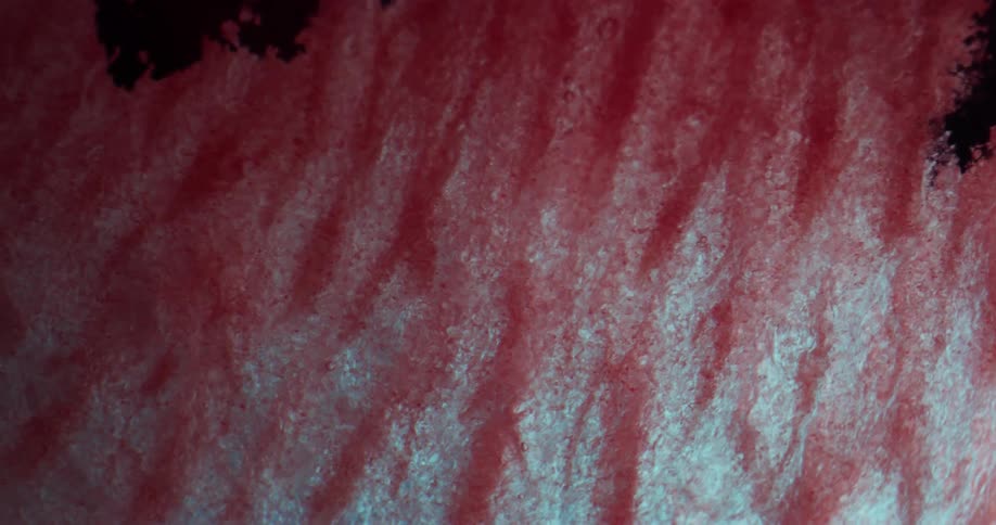 Black flows through crevices to cover red and blue textured surface